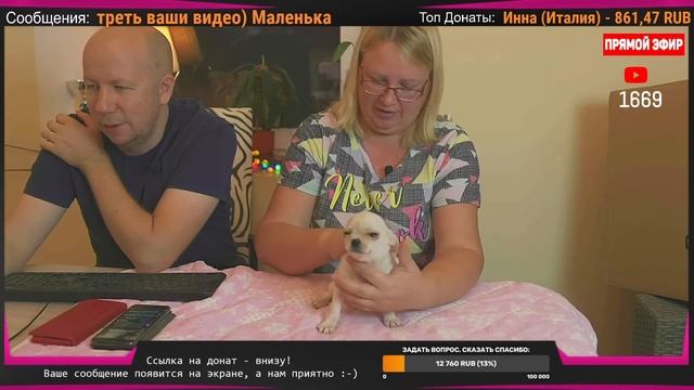 ? СТРИМ | Распаковка инкубатора! Щенки на стриме! [12 сентября 19:00] смотреть онлайн