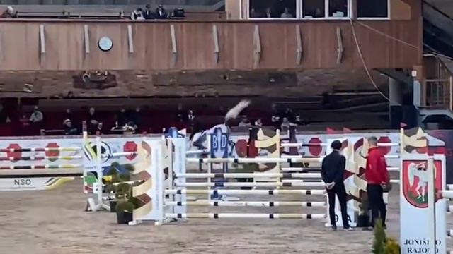 Cornet’s Cloud (Cornet Obolensky x Quidam de Revel) Diamond Tour Final 140cm смотреть онлайн