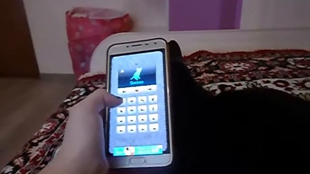 Общаюсь со своим котом через кошачий переводчик! смотреть онлайн