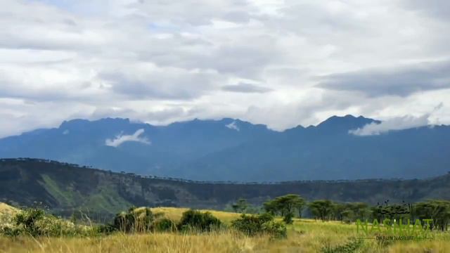 Mansur Muhiddin -Fatiha Suresi ~Kaf Suresi {16 - 45.}Ayetler смотреть онлайн