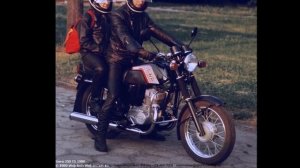 Сектор газа - яву яву взял я на халяву...