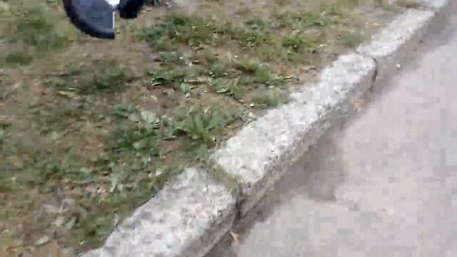 Сказка "День рождения голубя" смотреть онлайн