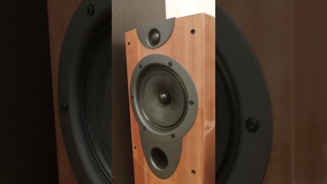Wharfedale Evolution 2-20 смотреть онлайн