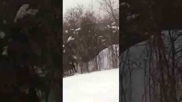 Утро. Костер. Планы на день. ВОДА ЗАМЕРЗЛА. ОСТАЛСЯ БЕЗ ВОДЫ. ТОПЛЮ СНЕГ ЧТОБЫ ДОБЫТЬ ВОДЫ. смотреть онлайн