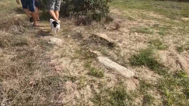 Ep. 238, La visita di Dado, Spagna!!! смотреть онлайн