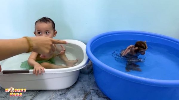 Monkey Kaka and Diem eagerly preparing to take a bath look so cute