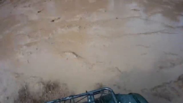 Grizzly125 и дривт-лужа смотреть онлайн