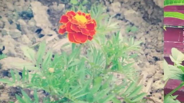 Картинки природы смотреть онлайн