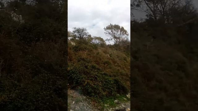 В Туапсе на пару дней ( автокемпинг ) ! смотреть онлайн
