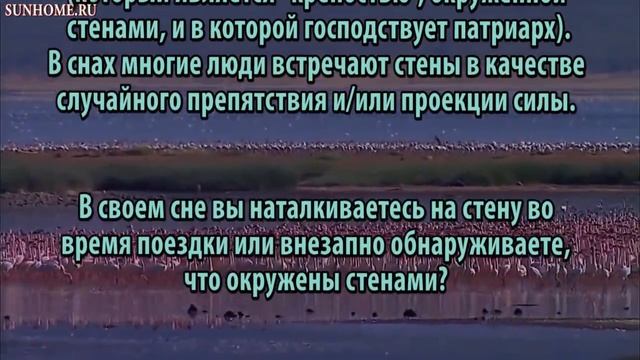 К чему снятся Стены сонник, толкование сна смотреть онлайн