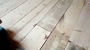 Строгание выравнивание деревянных полов своими руками