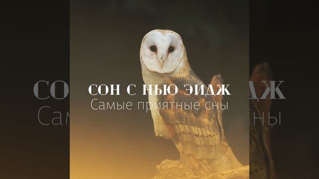 Быстрый сон смотреть онлайн