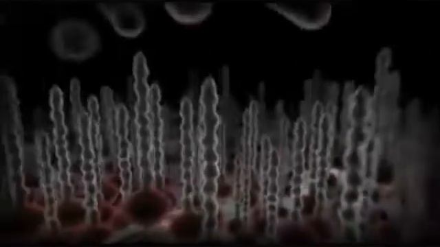 Bio Guardian NJ смотреть онлайн