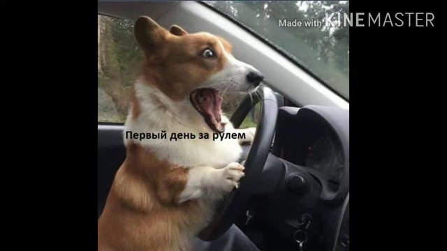 Итоги на мод "мод на кидальные мечи" майнкрафт смотреть онлайн