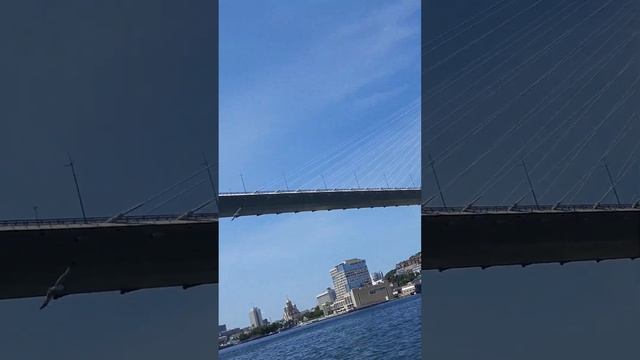 Поездка во Владивосток. Июнь 2023 г. Морская экскурсия.