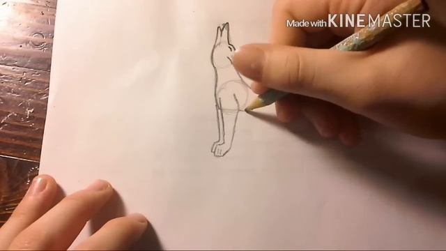 Как нарисовать волка смотреть онлайн