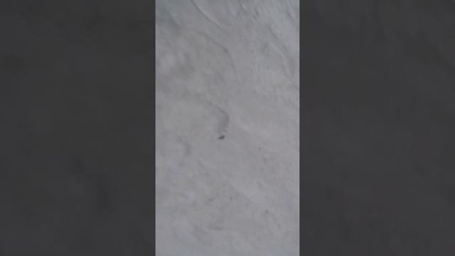 В 15 школе ачинска пронисли олимпийский факел смотреть онлайн
