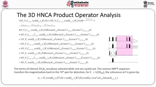 Methods of Multidimensional NMR for Biomolecular Structure Determination - I смотреть онлайн