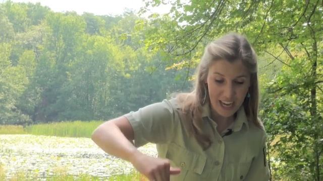 Wildlife Biologist - Career Spotlight смотреть онлайн