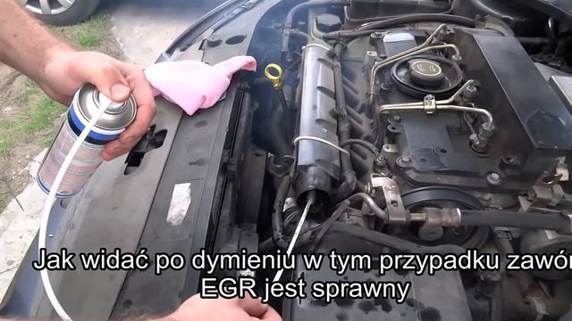 Liqui Moly oczyszczacz kolektora / czyszczenie kolektora dolotowego Diesel 2.0 TDDi смотреть онлайн
