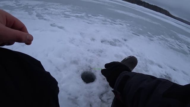 Первая рыбалка на леща 2023 года. Новогодний бонус. Ведьма ловит. смотреть онлайн