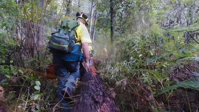 Apply Now To Become A Forest And Fire Operations Officer