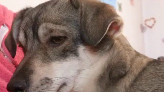 После праздника Новый год!! смотреть онлайн