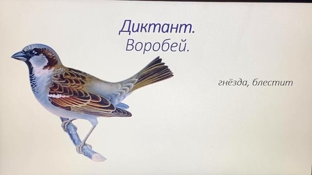 Русский язык. 5 урок. Виды предложений по интонации. Диктант смотреть онлайн