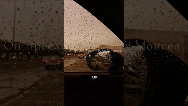 Пророк (ﷺ) сказал: