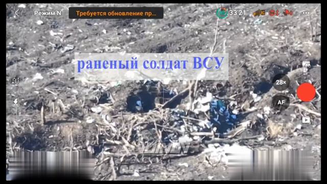 СВО Главное