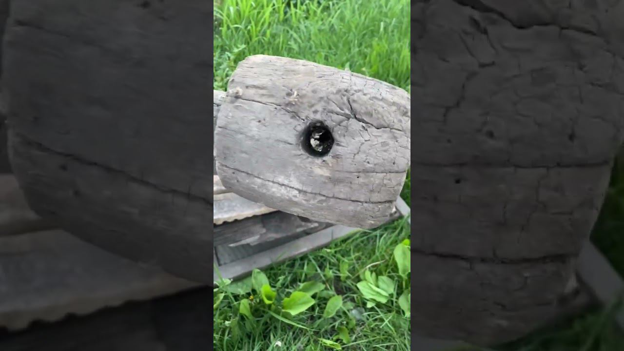 таинственный предмет из прошлого, кто знает, что это? #история #history смотреть онлайн