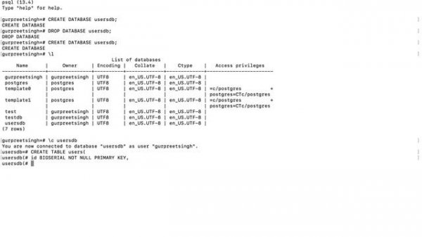 Create and drop database and table in postgreSQL Java IntelliJ Idea Gui Application