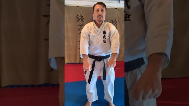 #14 Inside to out block stepping in forward stance/Soto Uke in Zenkutsu Dachi Renbukai Karate Canad смотреть онлайн