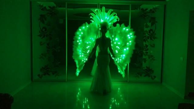 Пиксельные перьевые веера MEGA и Корона MEGA от LeDance Fashion +79264404648 смотреть онлайн