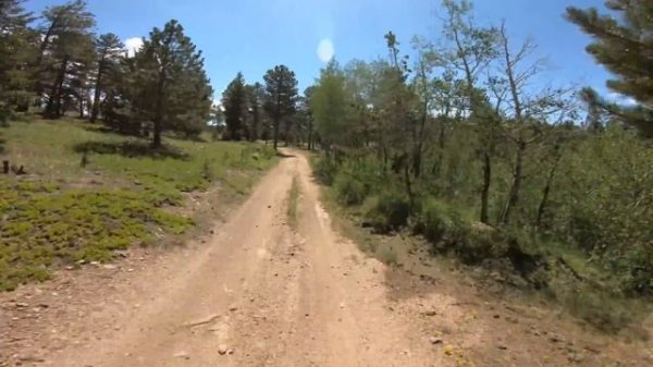 NEW SUR-RON Storm Bee | Electric Dirt Bike Test