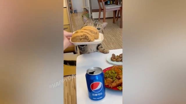  смотреть онлайн