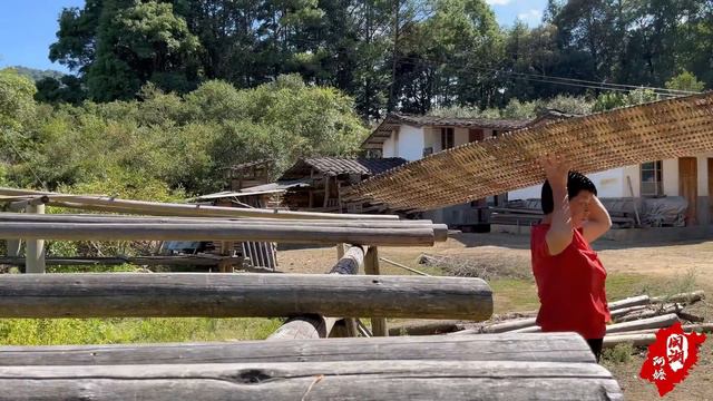 漫山遍野的黄花菜，阿嬷摘来晒成干货，炖肉入口即化煲汤清甜爽口丨dried day lily【闽湖阿嬤FujianGrandma】 смотреть онлайн