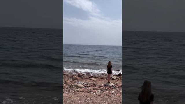 African beach смотреть онлайн