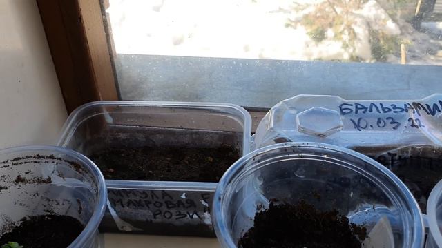 Сейчас это самое главное... смотреть онлайн