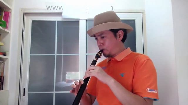 ammoon Mini Pocket Saxophone Sax смотреть онлайн