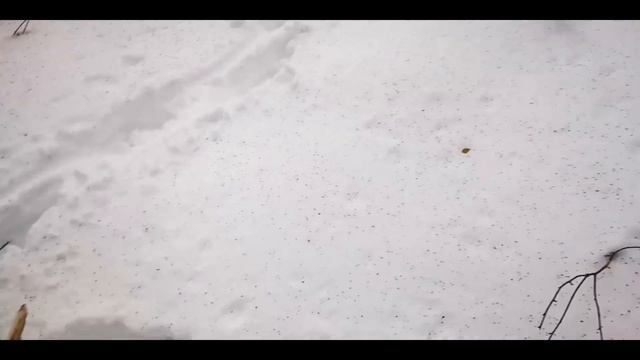 Отправляемся на заимку 19 века. Строим шалаш из стрейч-пленки. Нога ОЛЕНЯ на костре/Часть 1 смотреть онлайн