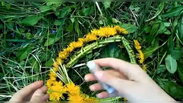 Как легко сделать венок из одуванчиков.