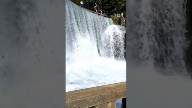 Чудеса природы #shortvideo #шум водопада #shortsyoutube