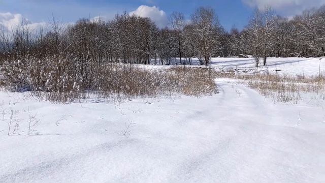 Псебай Чудесатее и чудесатее! КАФЕ СЕМЬЯ Спугнул КОСУЛЮ Метель КУПАНИЕ В СТУЖУ туризм Кавказ Поход смотреть онлайн
