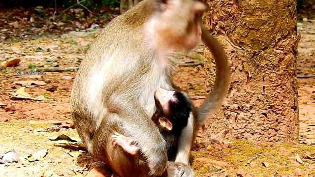 BEG ... STOP ..!! BEG GOD HELP ANISSA LEFT WORSE FROM BAD HAND MOMMY UNDER REASON WEANING MILK смотреть онлайн