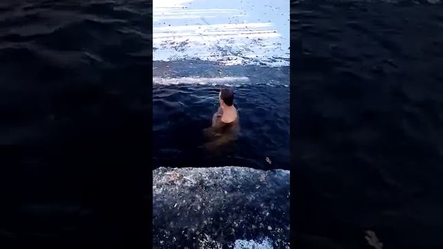 активируем тимус и наращиваем жирок. 02.12.22 смотреть онлайн