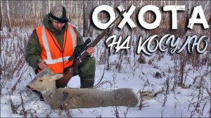 Охота на косулю 2021 | Мой первый трофей из Ata Turqua