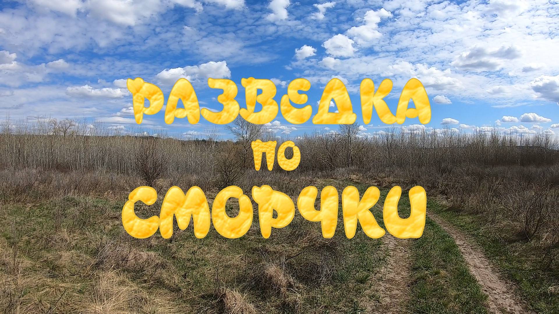 Разведка по сморчки смотреть онлайн