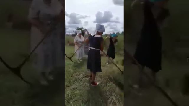 Сенокосная пора. смотреть онлайн