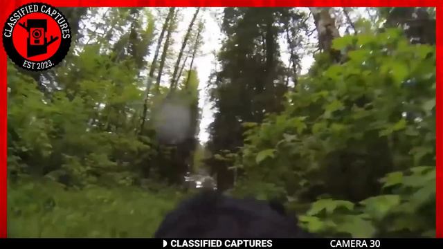 Unsettling Trail Cam Footage Meant to Remain Confidential смотреть онлайн